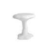 Amanita kruk wit - 18624