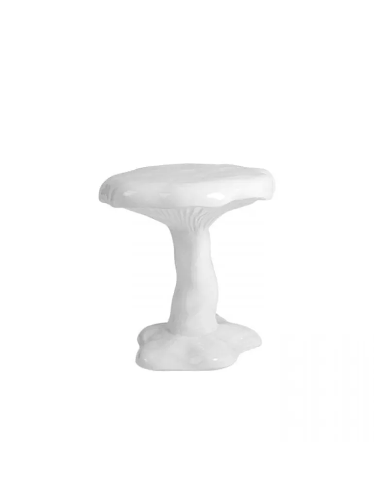 Amanita kruk wit - 18624