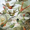 Behangpaneel Exotic Birds
