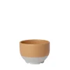 Eli schaaltjes Ø5XH3,5CM camel- set van 8 stuks