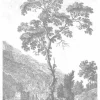 Engraved Landscapes behang