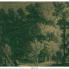 Engraved landscapes goud behang MW-033 - 400x280cm
