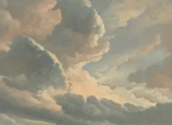 Golden age clouds behang WP-786 - 292,2x280cm