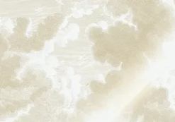 Goud Engraved clouds behang MW-178 - 400x280cm
