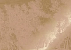Goud Engraved landschappen behang nude MW-159 300x280cm