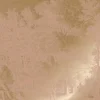 Goud Engraved landschappen behang nude MW-160 400x280cm