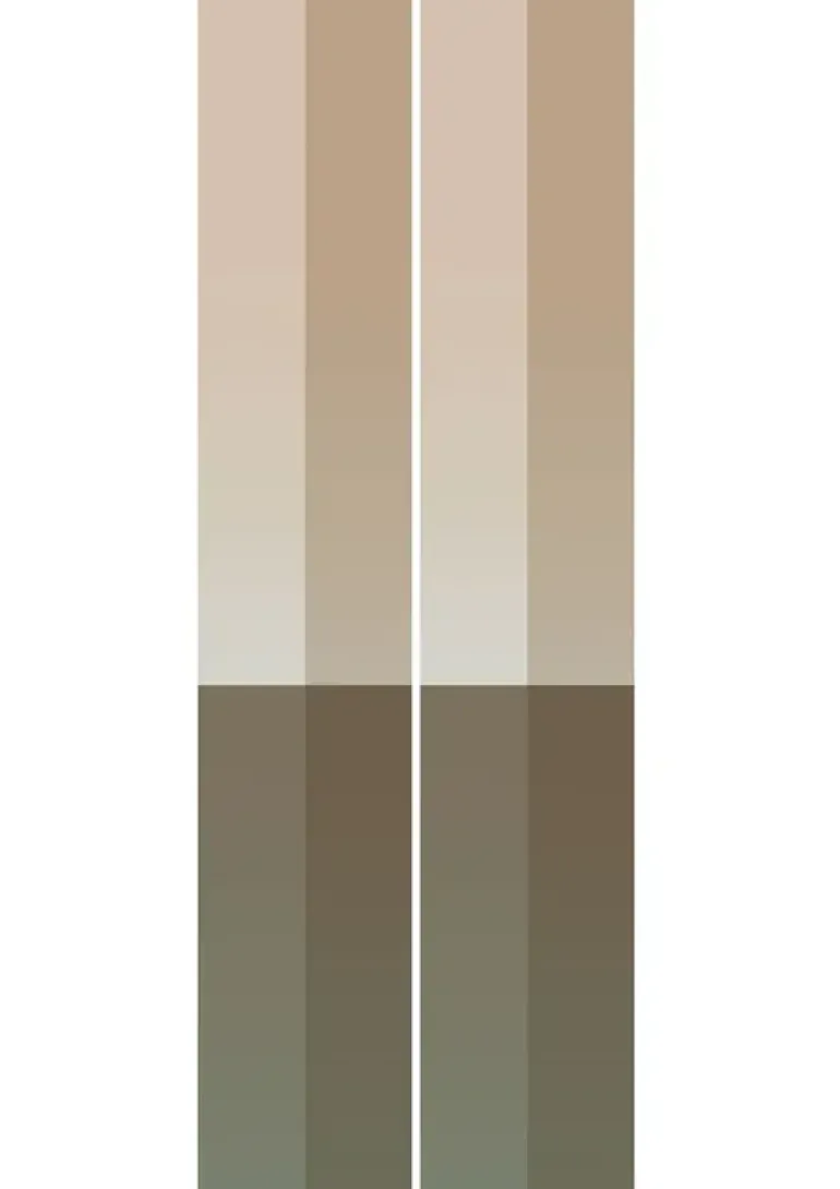 Gradient Stripes behang FU-021