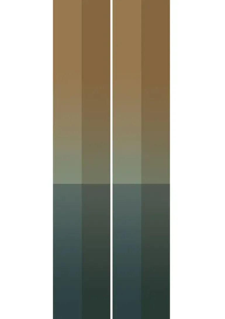 Gradient Stripes behang FU-016