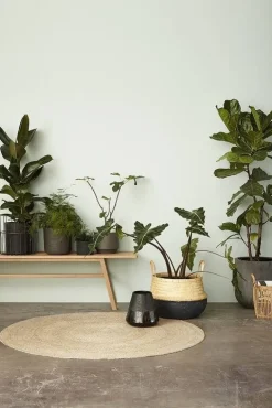 Houten bank