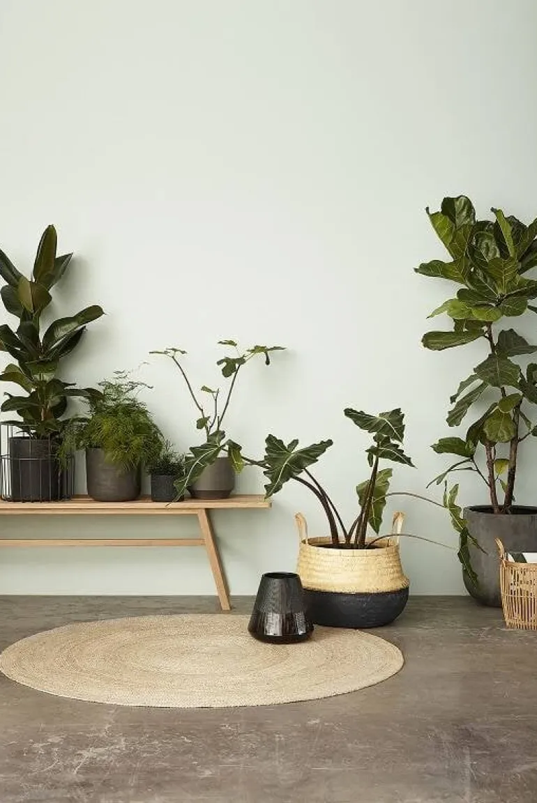Houten bank