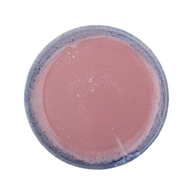 Paula borden Ø20cm roze set van 4 stuks - 82060950